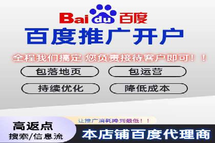 百度推广运营成功故事：品牌与效果的双重胜利